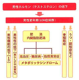 男性ホルモン(テストステロン)が低下することによって発症してしまう症状